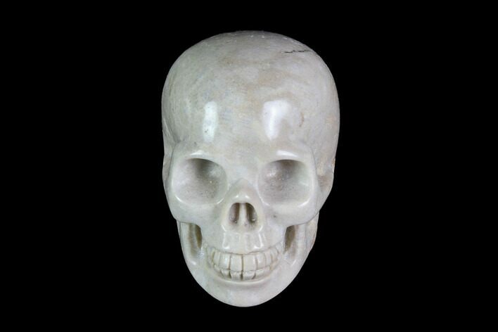 Realistic, Polished Fossil Coral Skull #116571